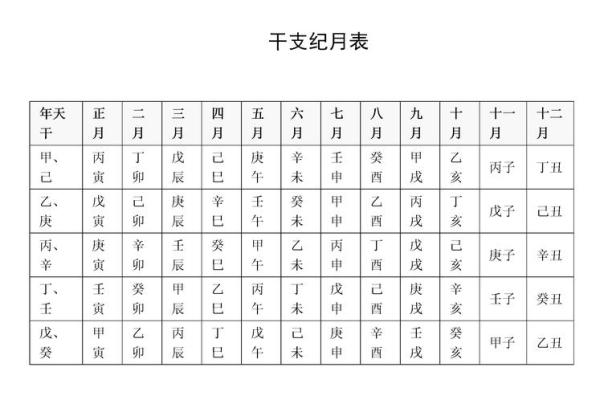 深入探讨地支与天干的相互作用及其意义