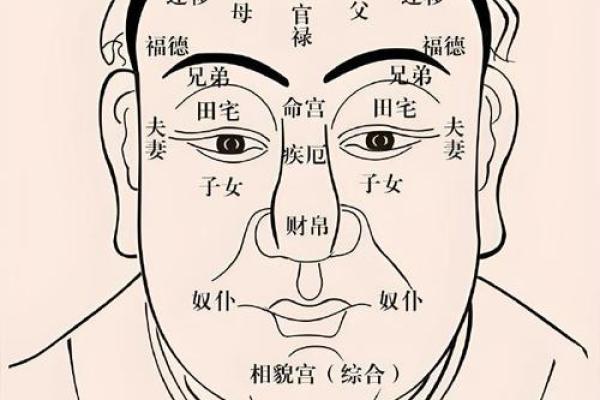 八字命宫解析：如何通过命宫位置揭示人生轨迹