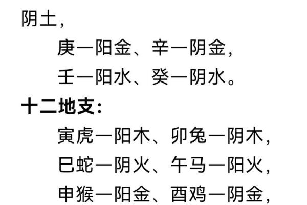 十二地支与五行的深度关联解析
