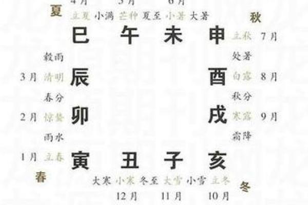 十二地支与五行的深度关联解析