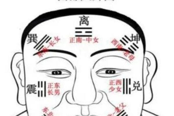 面相与命运息息相关？从面部特征看未来的成功与挑战