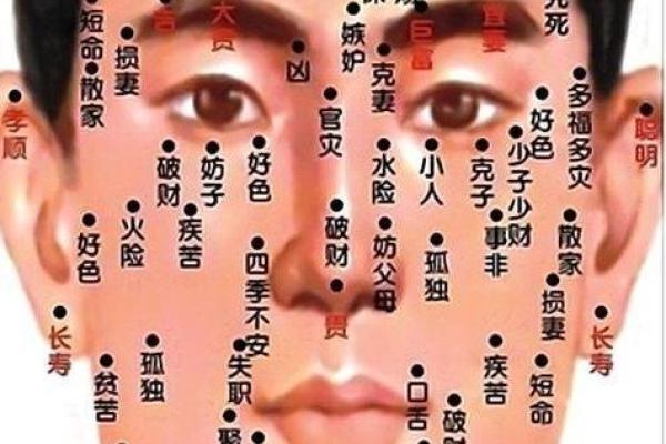 面相与命运息息相关？从面部特征看未来的成功与挑战