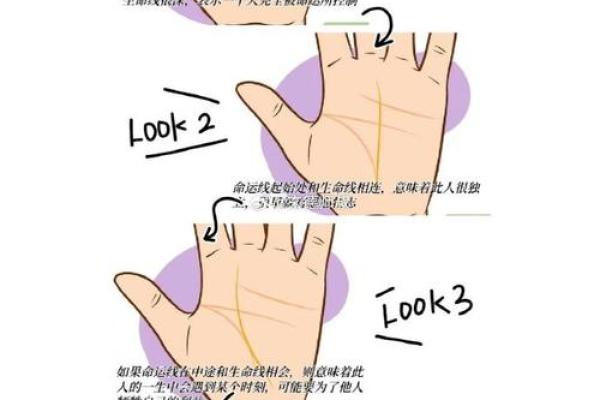女性手相分析：洞察未来的神秘符号