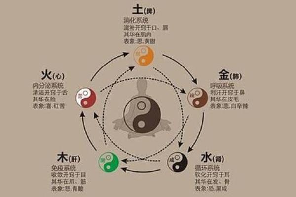 命理与孕育：通过五行看孕期健康与运势