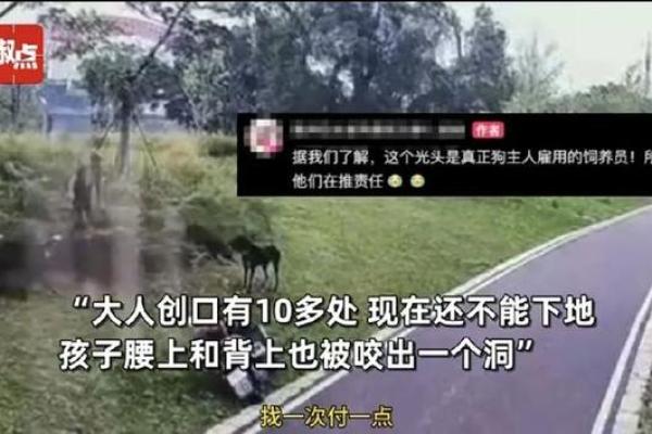 被狗咬的梦境提醒你哪些潜在问题？