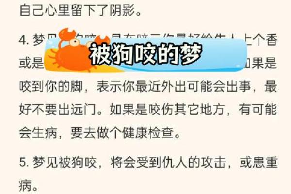 被狗咬的梦境提醒你哪些潜在问题？