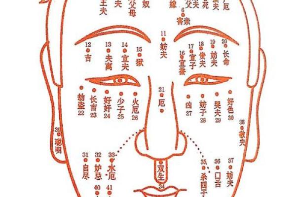 通过痣相看你的人生轨迹