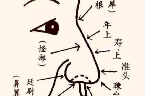 男人鼻子面相怎么看：一探鼻形对性格的暗示