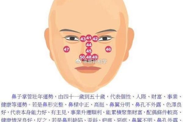 男人鼻子面相怎么看：一探鼻形对性格的暗示
