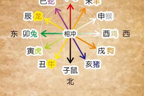 十二地支与时间的深刻联系：揭开古代时辰的神秘面纱