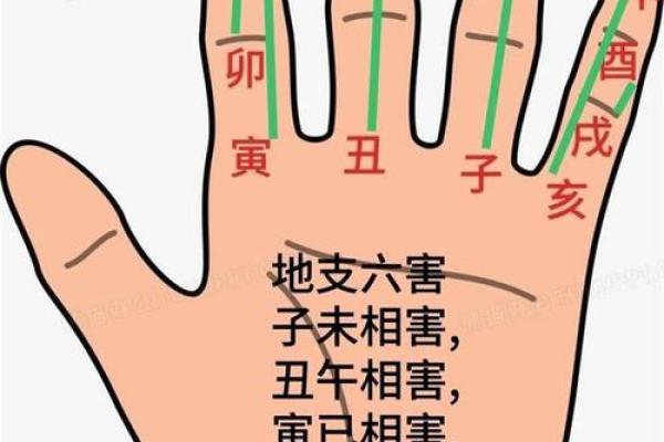 如何应对十二地支相害带来的挑战