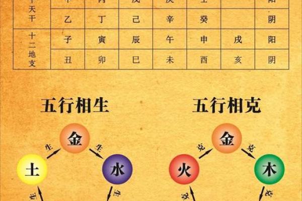 命理学中的关键要素与个人运势关系解析