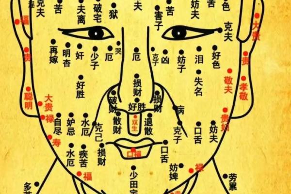 从贵井痣相看你的事业和财富运