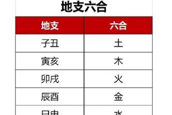 十二地支相合的奥秘与命理分析