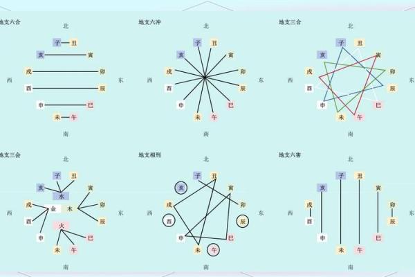 十二地支相合的奥秘与命理分析