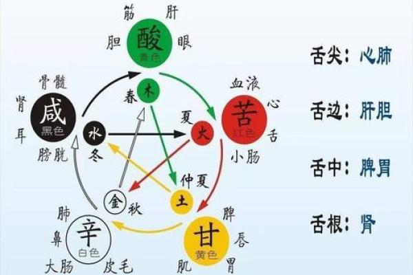 命理锁如何影响你的运势与决策方式