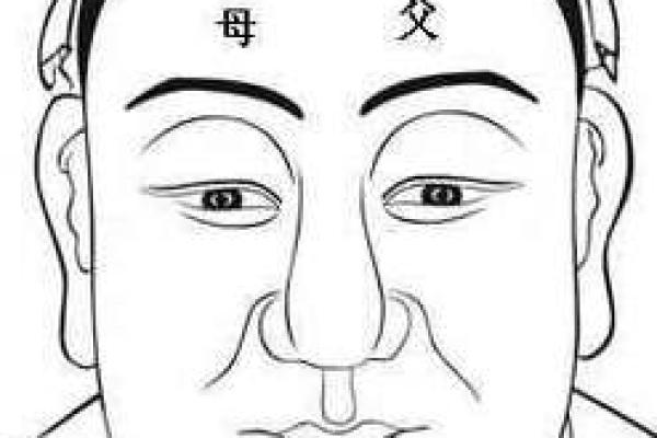 揭开头角峥嵘面相的奥秘：成功与魅力的象征
