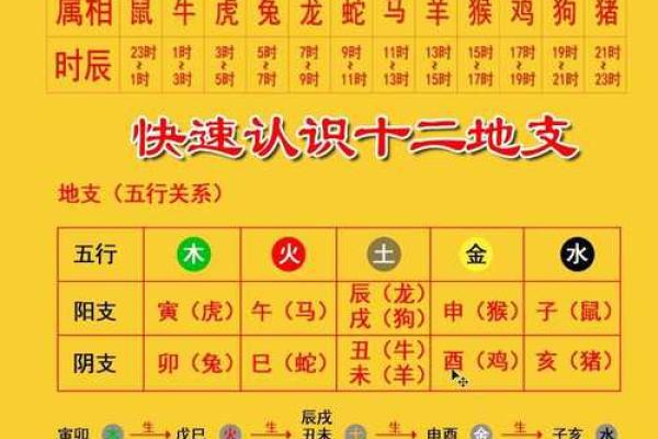 深入分析十二地支相合的特点与命运走向