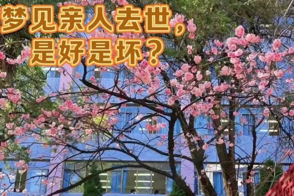 梦中已故亲人为何还活着与我交谈