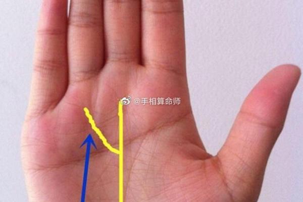 命理节目中的人物故事与命运轨迹