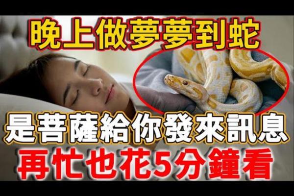 从梦到蛇看你内心的恐惧与挑战