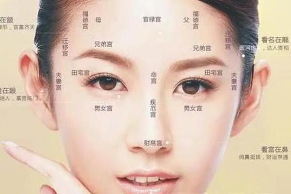 脸长的女人面相如何解读？揭示潜在的个性与运势