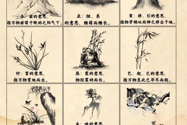 十二天干地支的起源与文化意义解读