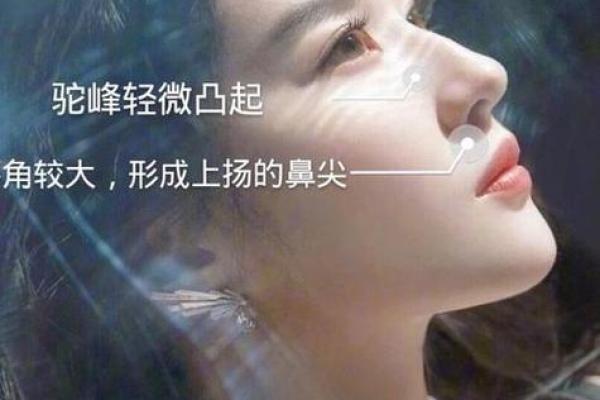 驼峰鼻面相解析：如何影响个人运势与性格特征