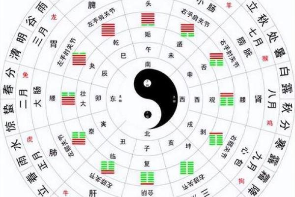 十二天干与十二地支的起源与应用探秘