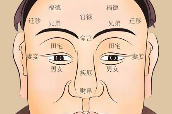 麒麟骨面相揭秘：从骨相看命运与性格的深层联系