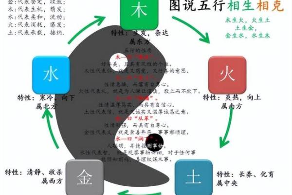 探索十二地支在命理学中的象征作用