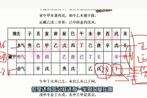 十二地支藏干在八字命理中的重要性