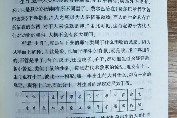 十二生肖与十二地支的神秘联系探秘