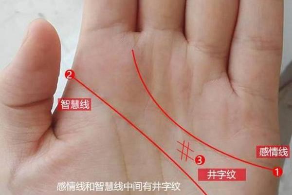 林心如的面相如何展现她的情感与智慧