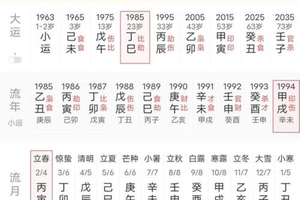命理资料揭秘：如何通过出生信息洞察人生轨迹