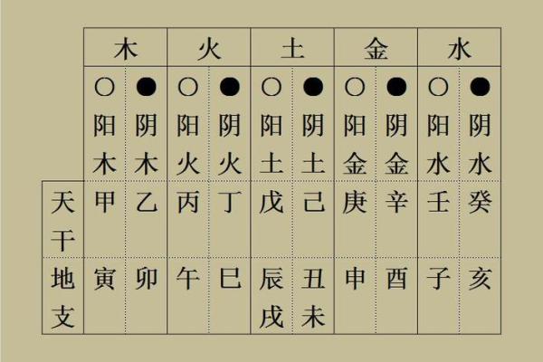 十二地支与五行的神秘联系