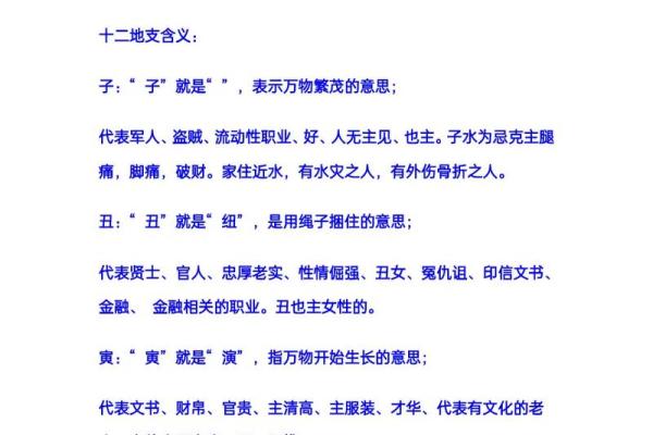 十二地支与时刻：每个地支背后的时间密码