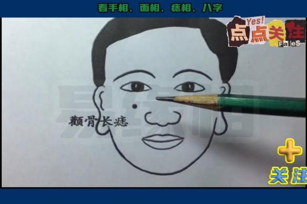 颧骨高的男人面相：是否影响情感与人际关系