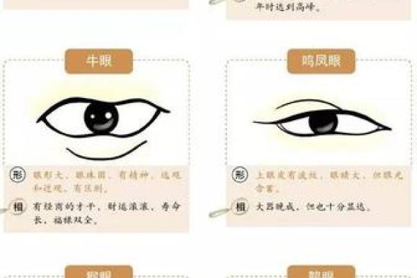 揭秘旺夫脸面相的五大标志