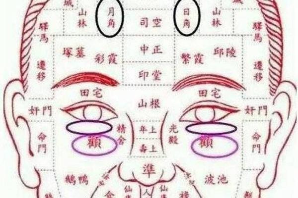 揭秘旺夫脸面相的五大标志