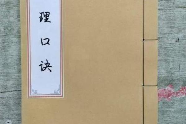 命理学入门指南 掌握预测人生的钥匙