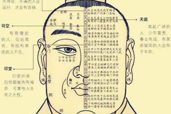 探索麒麟骨面相：如何通过面部骨骼识别独特的命运特征