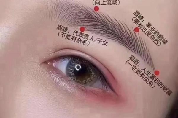 眉毛面相图解：揭示你性格与命运的秘密