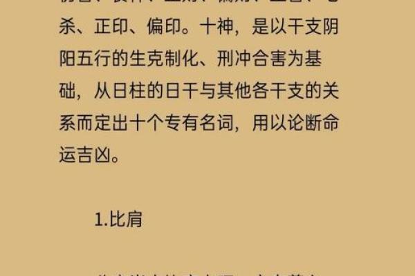 命理中比的作用与影响解析