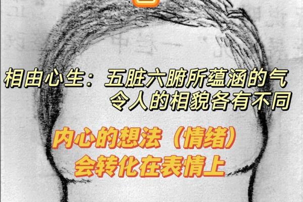 揭秘颧骨高男人面相：智慧与决断力的象征