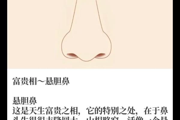透过男人的鼻子看性格：鼻型面相分析指南