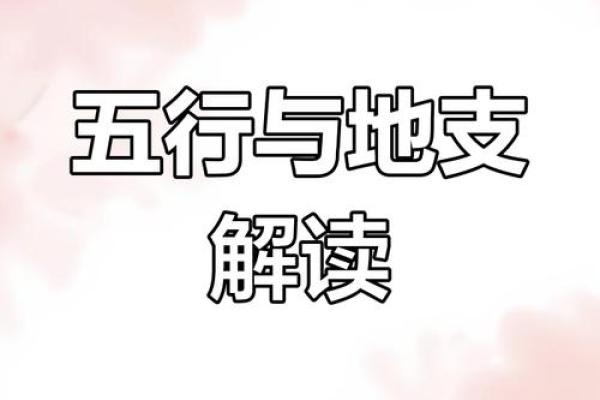 探索地支相生相克在命理中的重要性