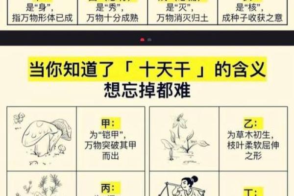 探索天干地支时辰对个人运势的影响