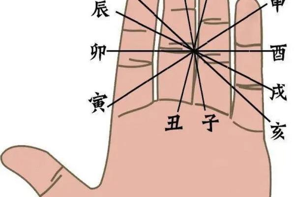 探索地支相合相冲对命运的影响