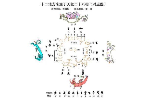 深入了解地支：中华命理中的基本符号